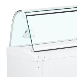 Ice Cream Display Cabinet TEFCOLD FIJI4