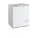 Chest freezer TEFCOLD FR205S-SL