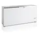 Chest freezer TEFCOLD FR605S-SL