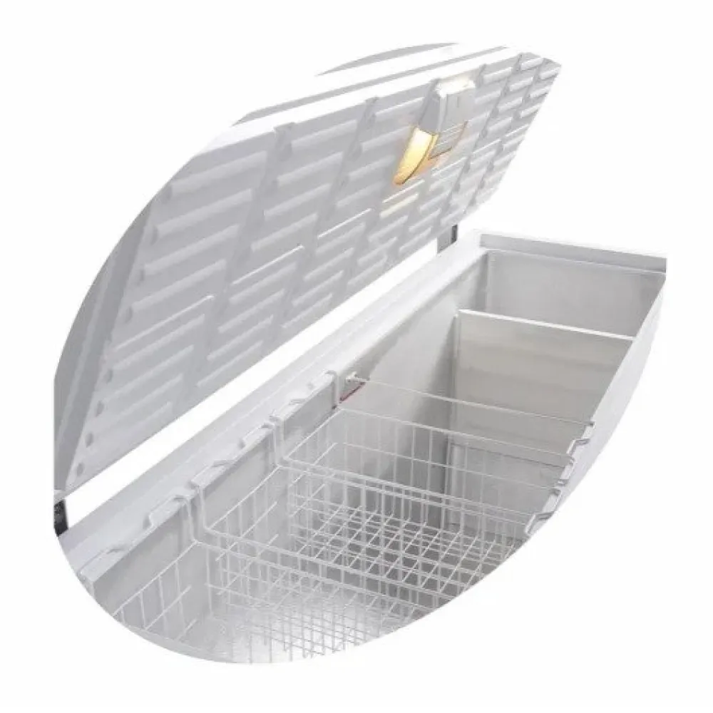 Chest freezer TEFCOLD FR605S-SL