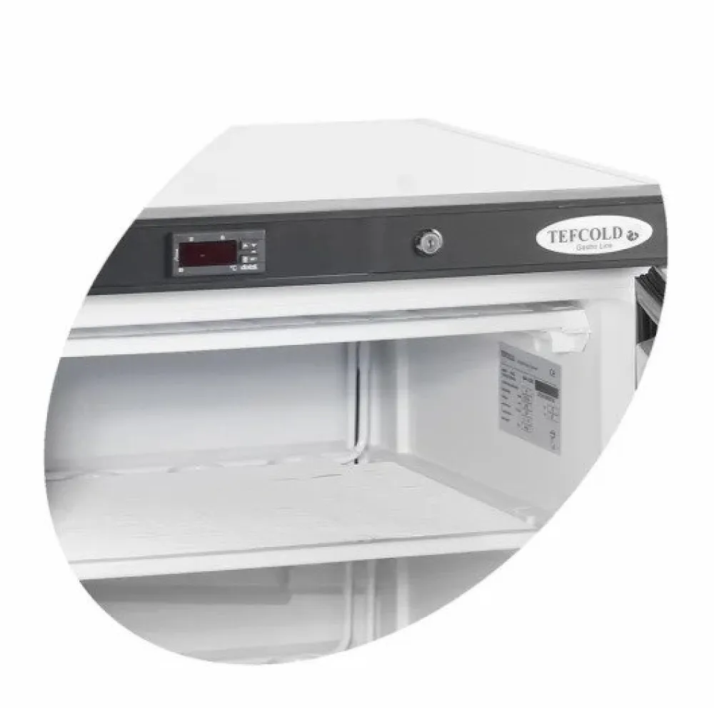 Upright freezer TEFCOLD UF200