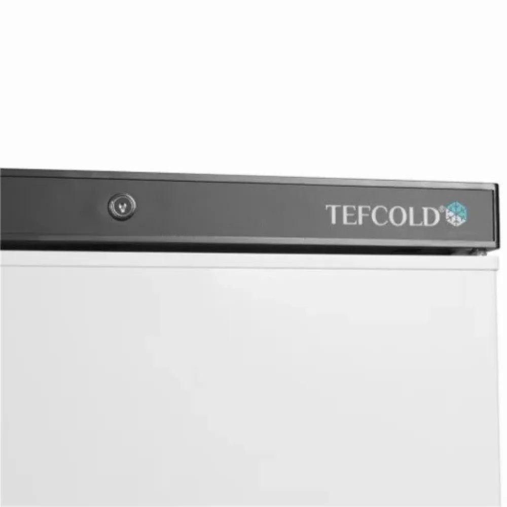 Upright freezer TEFCOLD UF400
