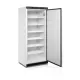 Upright freezer TEFCOLD UF600