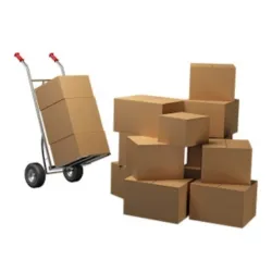 Packaging Boxes, Bags and Disposable Tableware