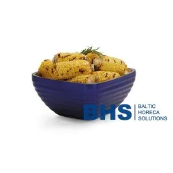 Showcase serving dish BHS-HoReCa BHS440165