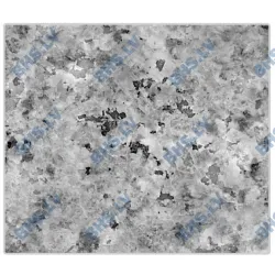 Refrigerated table accessory Novameta DM0-GALAXY