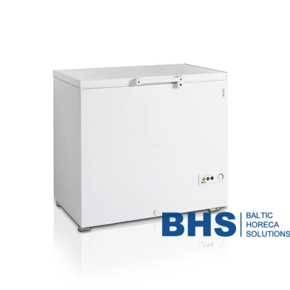 Chest freezer TEFCOLD FR305-SL