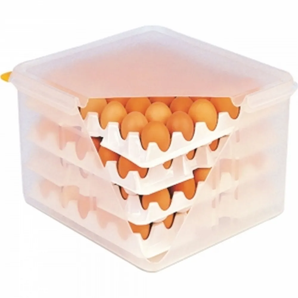 Food Storage Container Stalgast 061500