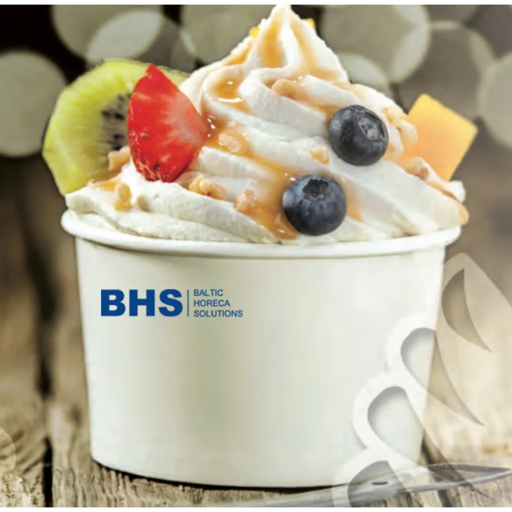 Ice cream machine SPM-ICE 563212