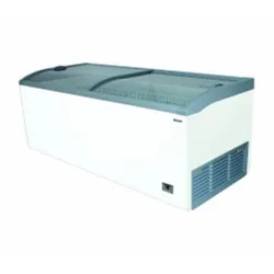 Ice cream chest freezer BHS-HoReCa E-UMD 2100/CL