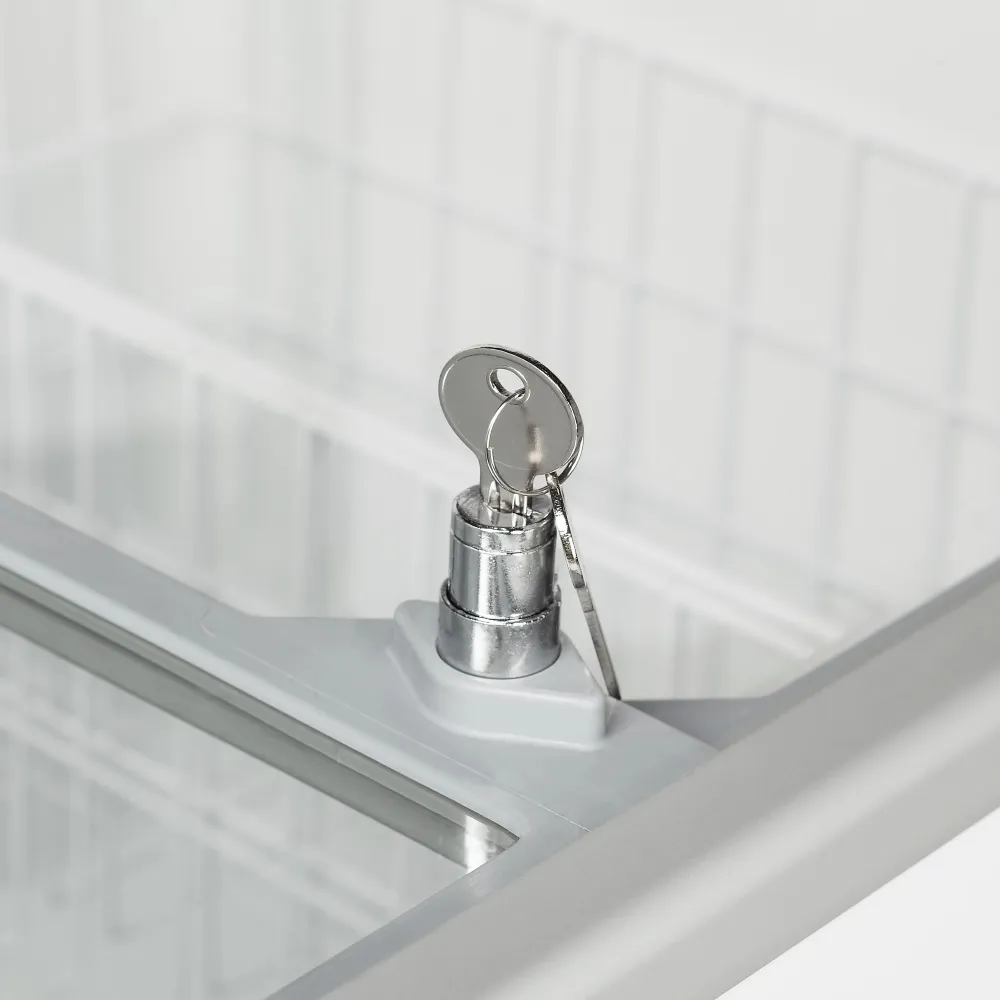Chest freezer showcase TEFCOLD IC402SC