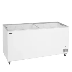Ice cream chest freezer TEFCOLD IC552SC