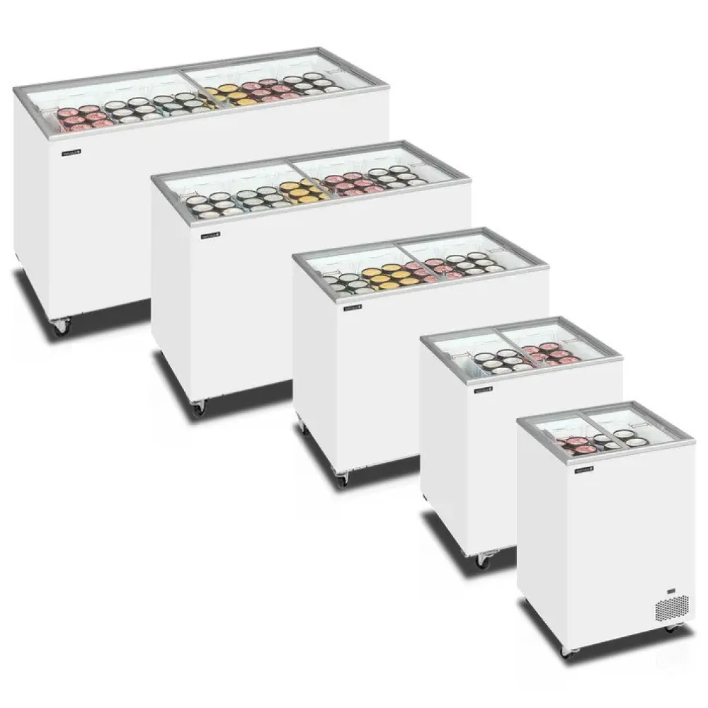 Ice cream chest freezer TEFCOLD IC202SC