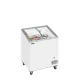 Ice cream chest freezer TEFCOLD IC202SCEB