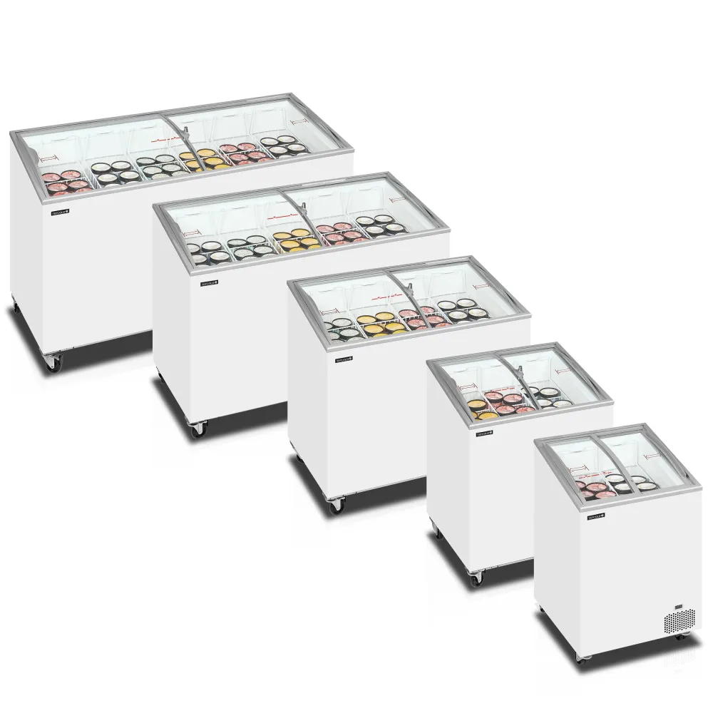 Ice cream chest freezer TEFCOLD IC202SCEB