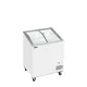 Ice cream chest freezer TEFCOLD IC202SCEB
