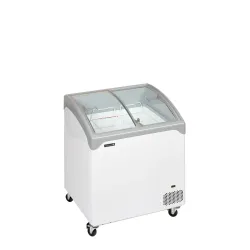 Ice cream chest freezer TEFCOLD NIC202SCEB