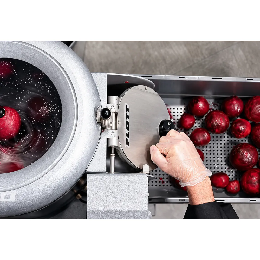 Onion and garlic peeling machine ZS25
