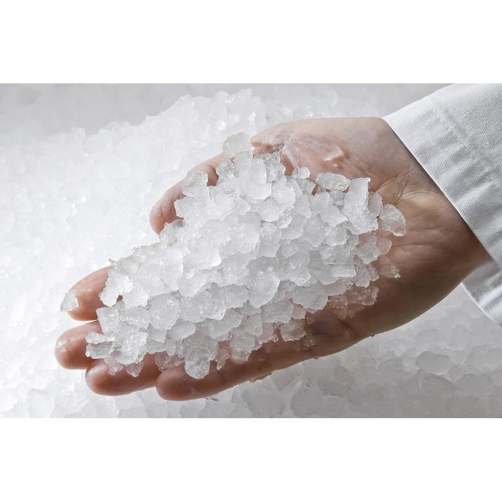 Ice generator ICE TECH GR1100