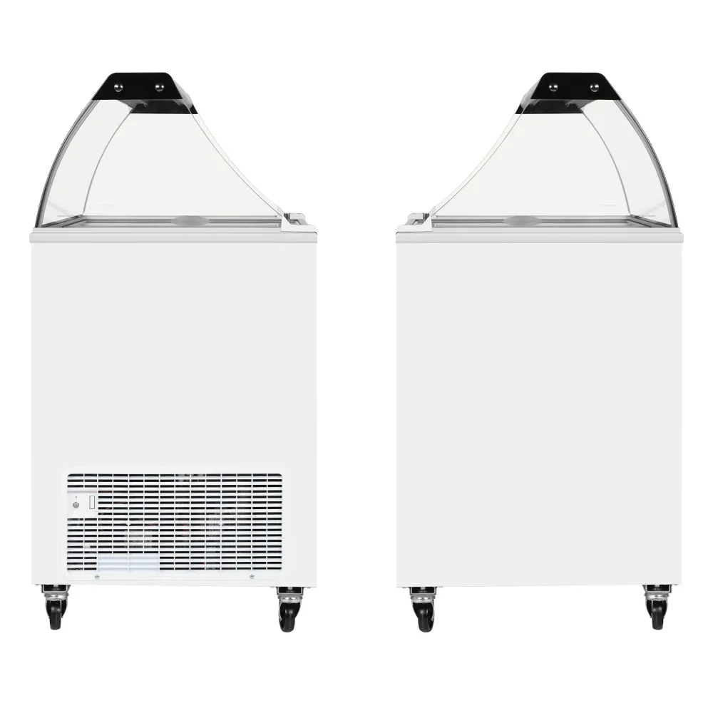 Ice Cream Display Cabinet TEFCOLD IC202SC-SO