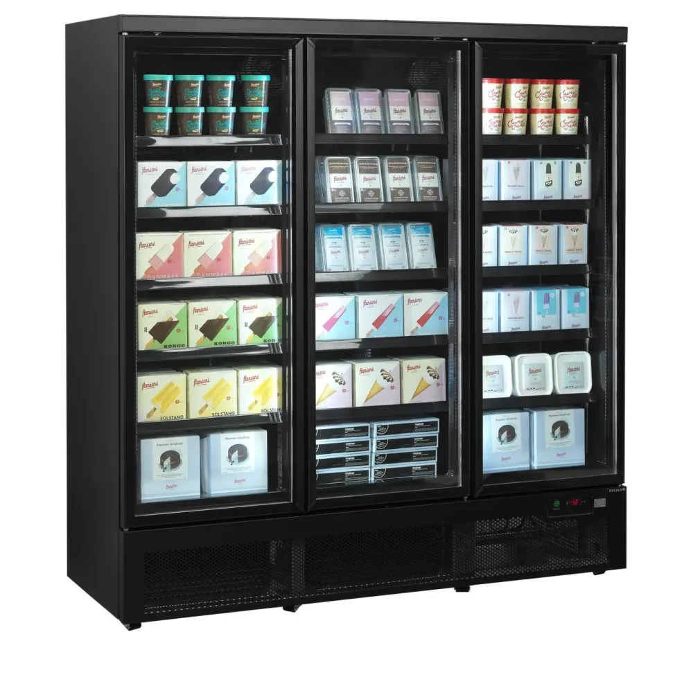 Freezer TEFCOLD F3DBB