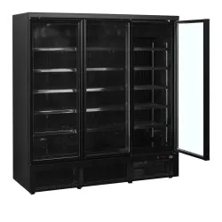 Freezer TEFCOLD F3DBB