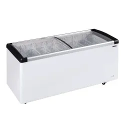 Ice cream chest freezer TEFCOLD IDB500-W1