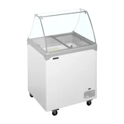 Ice cream chest freezer TEFCOLD NIC202SC-SO