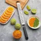 Grater Stalgast 302920