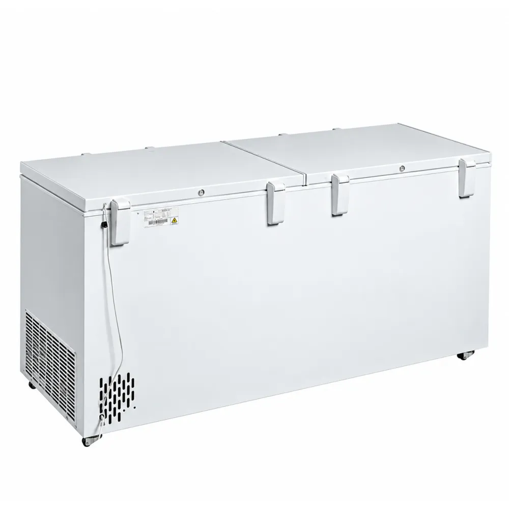 Chest freezer with two-piece lid, 565 L