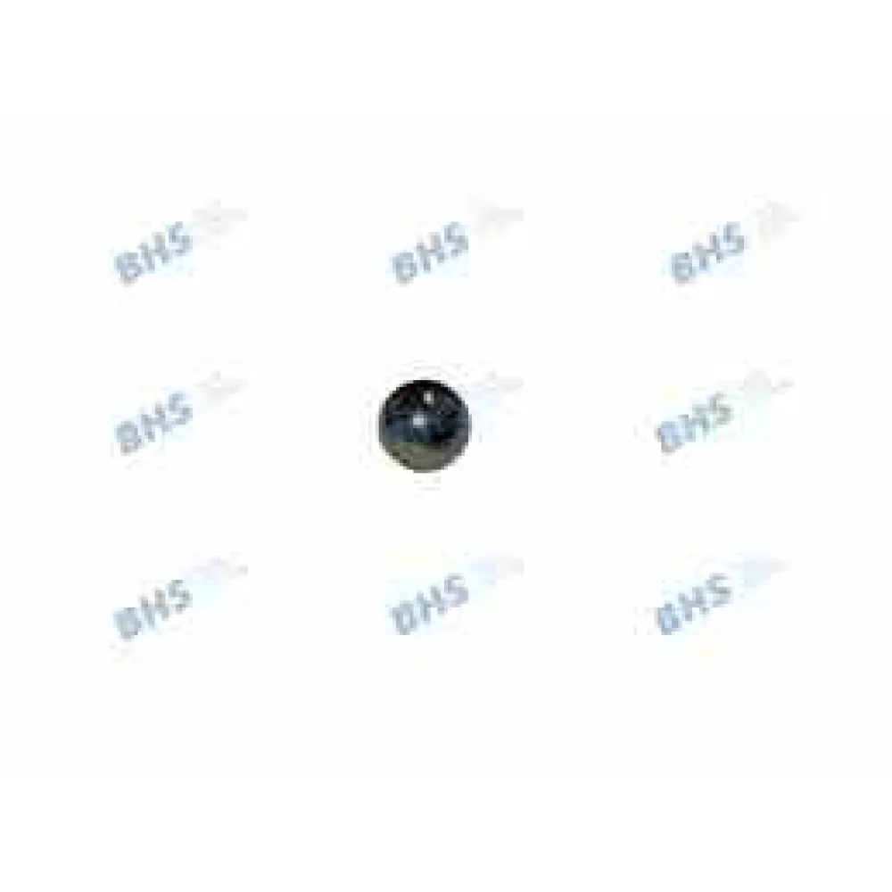 Stainless steel ball LF L1323415