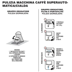 Coffee Machine Descaler and Milk System Cleaner Puly Caff 086600