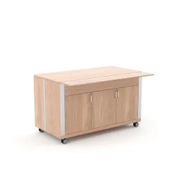 Self-service display counter ROCAM 010MOATHN3