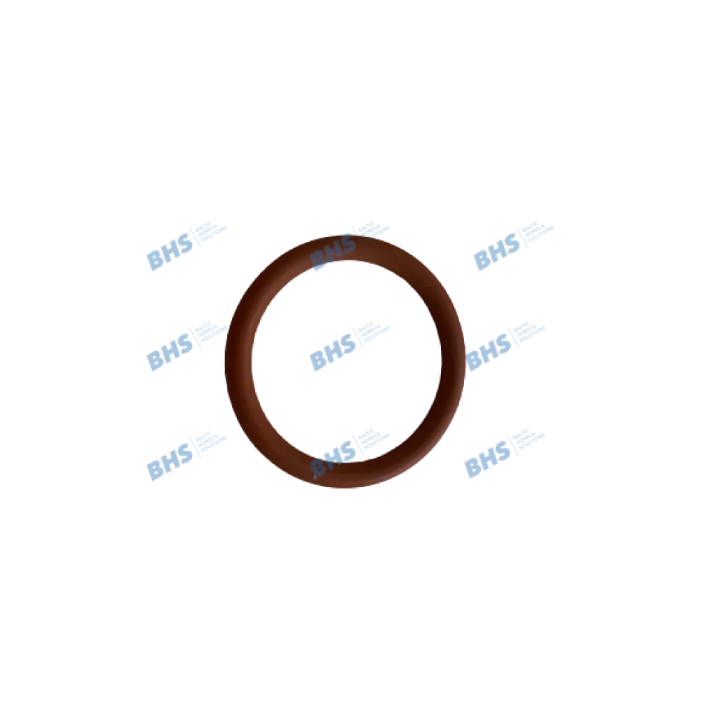 Orm gasket SAECO L1186862