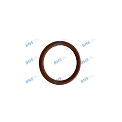 Orm gasket SAECO L1186862