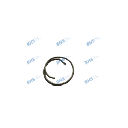 Spring friction piston SCHAERER Spare Parts 3370062622