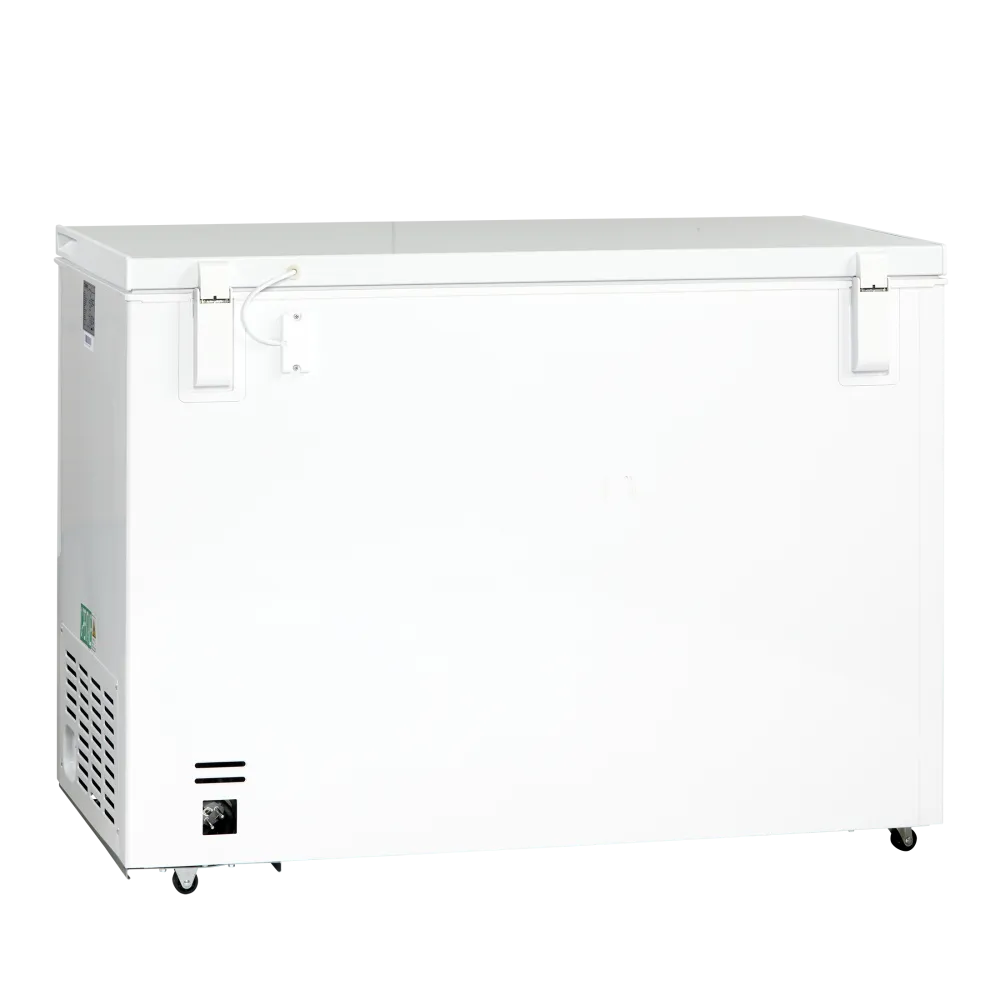 Chest freezer Scandomestic HOME 01124210000CF400WE