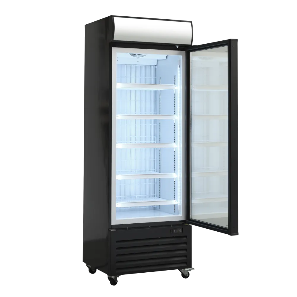 Display freezer SCANDOMESTIC 25324010000DF400BD
