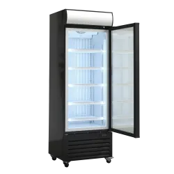 Display freezer SCANDOMESTIC 25324010000DF400BD