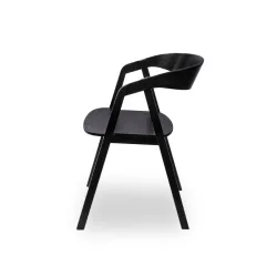Café chair BHS-HoReCa KDR/FUTURA.011/RV/STM